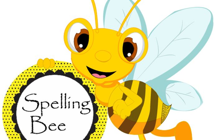  picture of bee